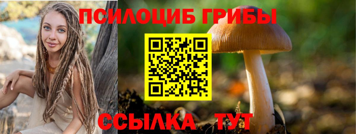 Псилоцибиновые грибы прущие грибы Кызыл